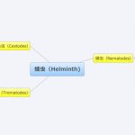 寄生虫症の臨床――蠕虫感染を中心に（２/３）